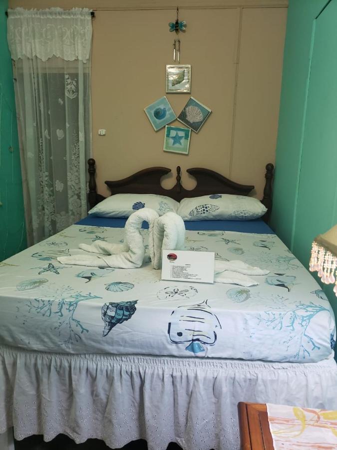 Posada Nativa Trinsan Centro San Andrés Dış mekan fotoğraf