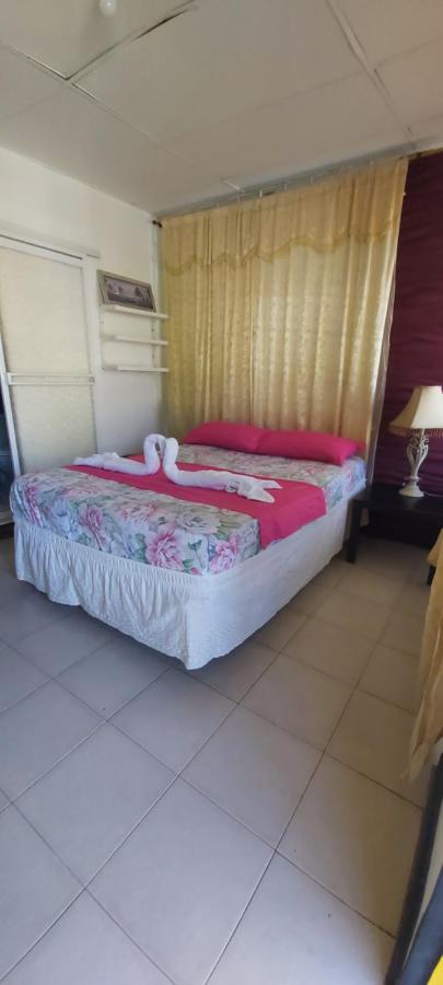 Posada Nativa Trinsan Centro San Andrés Dış mekan fotoğraf